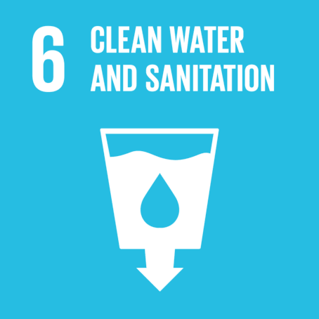 goal6