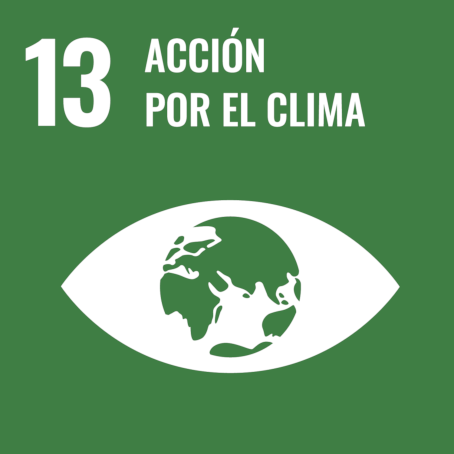 goal13