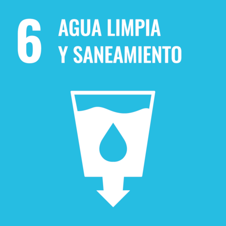 goal6